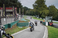 Middle Group White Bikes